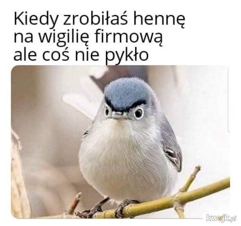 Mem na Wigilię 