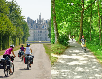 Miniatura: To najpiękniejsza trasa rowerowa na...