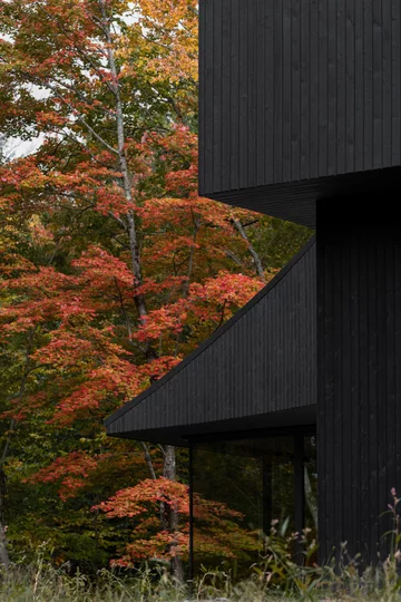 Leśny azyl miłośników sztuki, projekt Studio Jean Verville architectes v2com, 1010-16, Studio Jean Verville