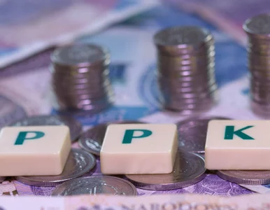 Miniatura: Luka w PPK zostaje, pieniądze można będzie...