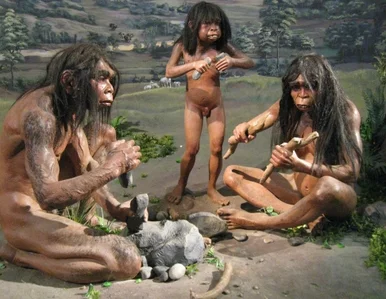 Miniatura: Po co człowiek zszedł z drzewa? Żeby...