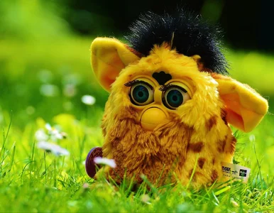 Miniatura: Hasbro wraca do produkcji popularnych...