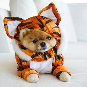 Jiffpom 