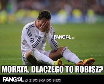 fot. fangol.pl