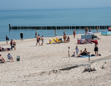 Miniatura: Polskie plaże lepsze niż w Chorwacji i na...