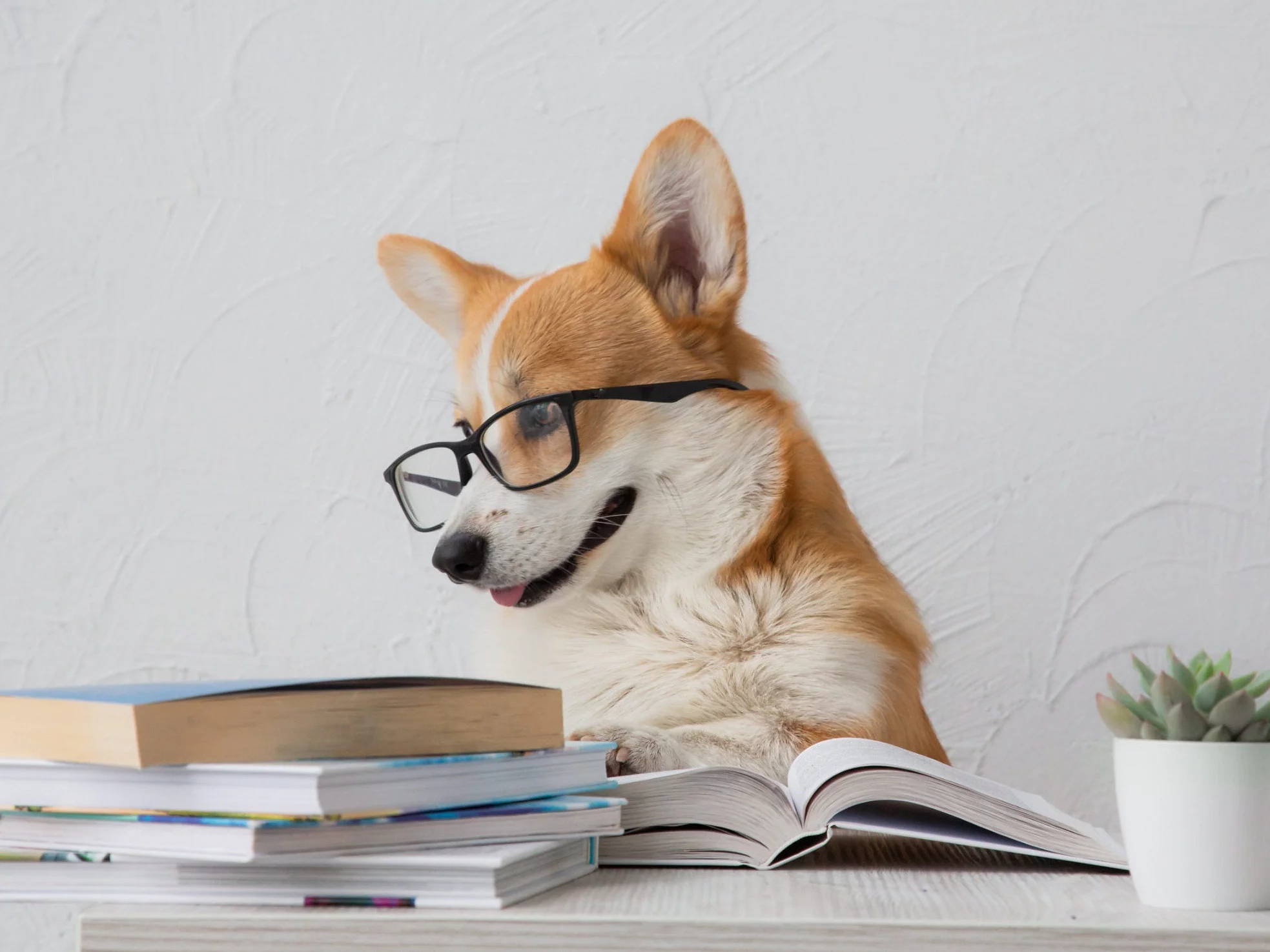 QUIZ najeżony pułapkami. 7/10 to naprawdę duże osiągnięcie!