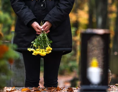 Miniatura: Ruszyły wypłaty renty wdowiej. W tych...