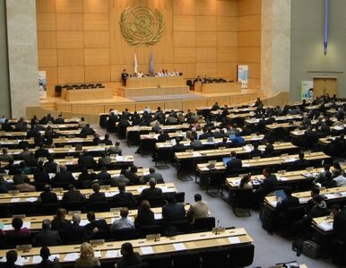 Miniatura: Palestyna chce zostać członkiem ONZ