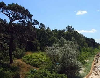 Miniatura: Uprawiali survival w... rezydencji prezydenta