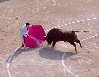 Miniatura: Hiszpania: w czasach chudych krów, wracają...
