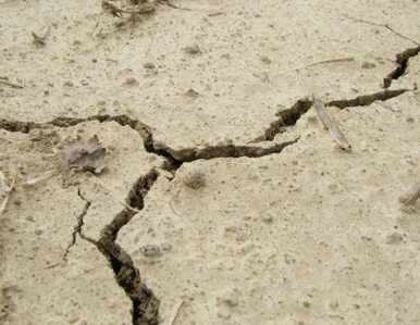 Miniatura: Trzęsienie ziemi pod Bełchatowem