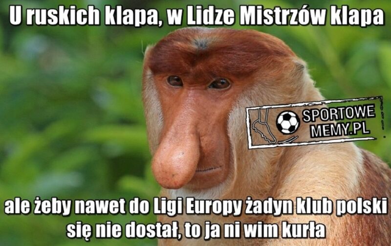Polskie kluby odpadają z europejskich pucharów - mem 