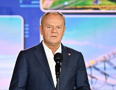 Miniatura: Tusk nie wytrzymał. Tak zareagował na...