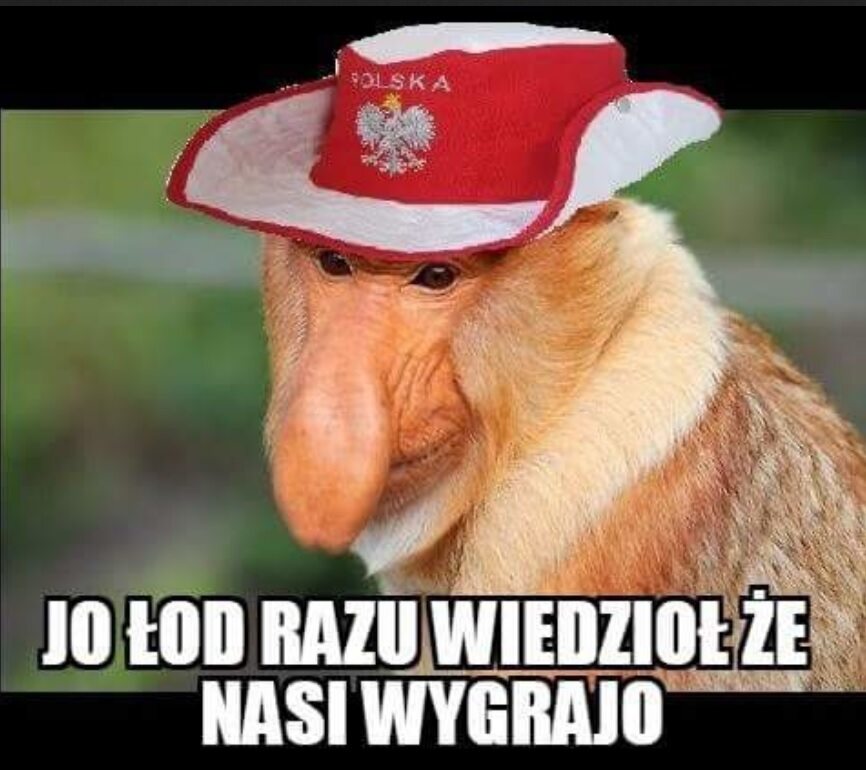 Mem po meczu Polska-Litwa 