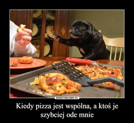 Miniatura: Memy z okazji Międzynarodowego Dnia Pizzy