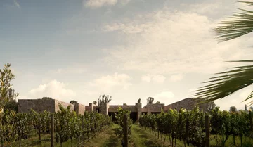 Dom w meksykańskiej winnicy, projekt Jorge Garibay Arquitectos 