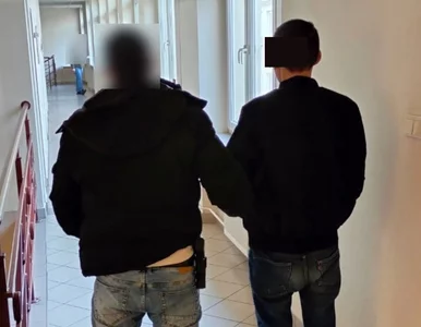 Miniatura: Uderzył matkę w twarz, zabił jej psa....