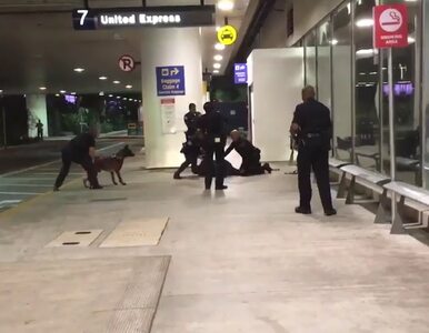 Miniatura: Chaos na lotnisku w Los Angeles....