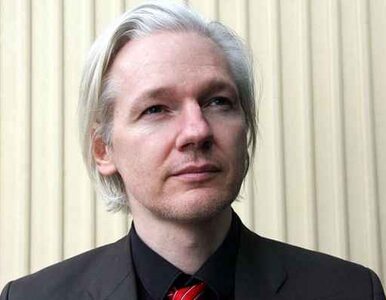 Miniatura: Pokojowy Nobel dla WikiLeaks?