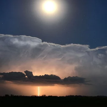 Zdjęcie autorstwa Grega Johnsona 