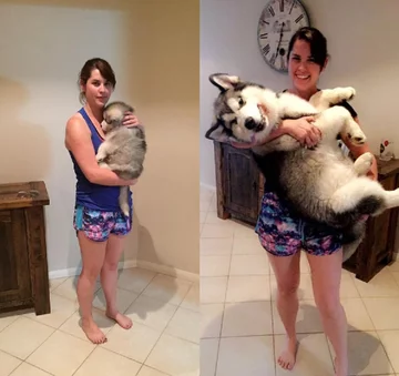 Te zdjęcia dzieli 12 tygodni 