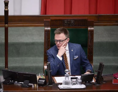 Miniatura: Fogiel wbił szpilkę Hołowni. „Chyba jedyny...