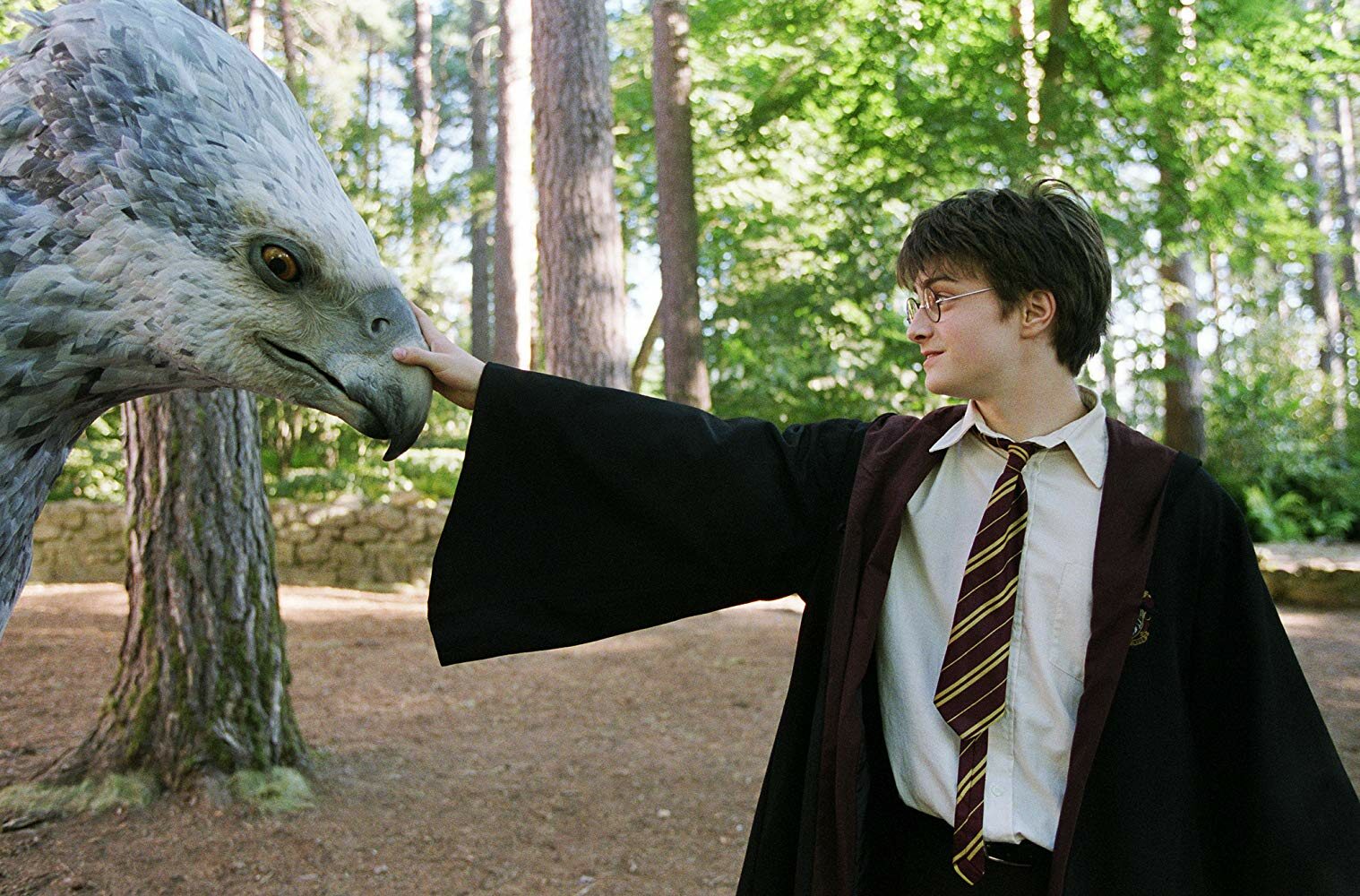 Zacznijmy od czegoś prostego. Do którego domu w Hogwarcie należał Harry Potter?