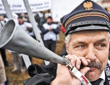 Miniatura: Czy ktoś jeszcze potrzebuje związków...