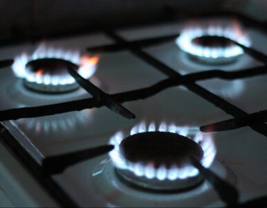 Miniatura: URE interweniuje ws. taryf na gaz. Firmy...