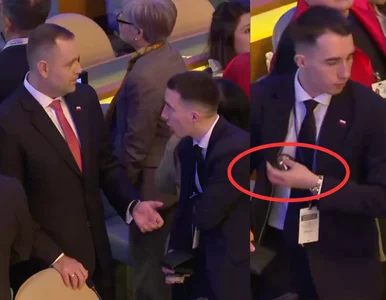 Miniatura: Producent woreczków z nikotyną, których...