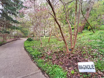 Ogród Botaniczny Uniwersytetu Warszawskiego w Warszawie 