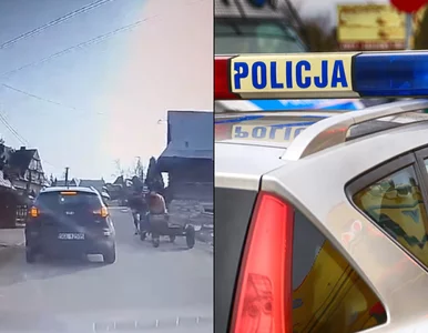 Miniatura: Spłoszony koń uderzył w samochód. Woźnica...