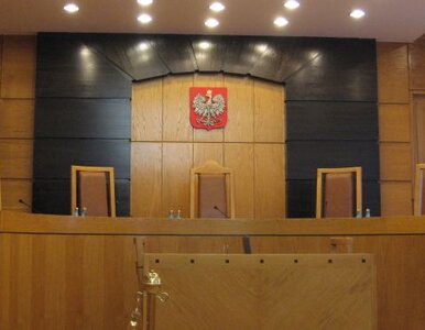 Miniatura: Europejski Nakaz Aresztowania zgodny z...