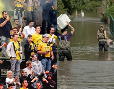 Miniatura: Kibice holenderskiego klubu pomagają...