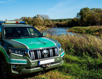 Miniatura: Problem po wecie Karola Nawrockiego....