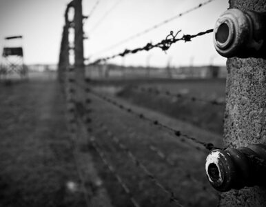 Miniatura: Rumunia: minister negował Holokaust....