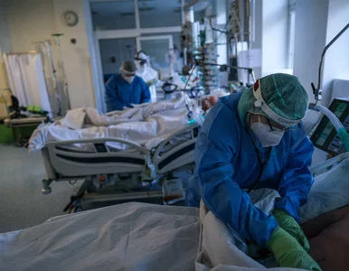 Miniatura: Koronawirus w Polsce. Ministerstwo Zdrowia...