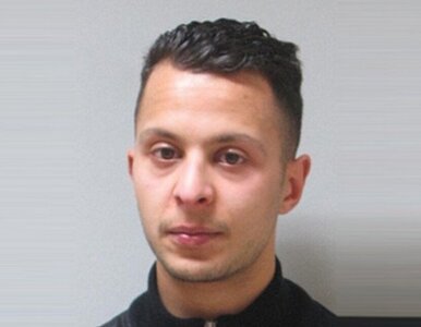 Miniatura: Salah Abdeslam chciał wysadzić się w...