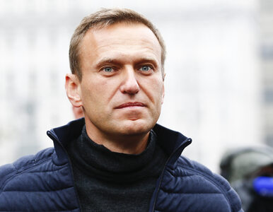 Miniatura: Brat Nawalnego na liście poszukiwanych...