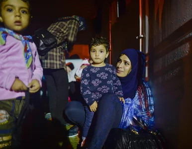 Miniatura: W Malmö zaginęło 20 dzieci uchodźców....