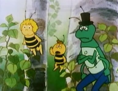 Miniatura: QUIZ: Krecik czy Pszczółka Maja? Rozpoznaj...