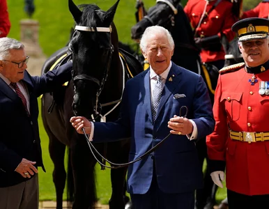 Miniatura: Król Karol III zdecydował się na nietypowy...