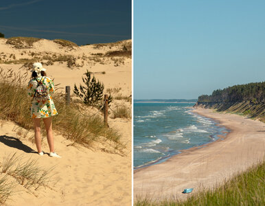 Miniatura: Zatopiony las i piękna wioska. Wyjątkowe...