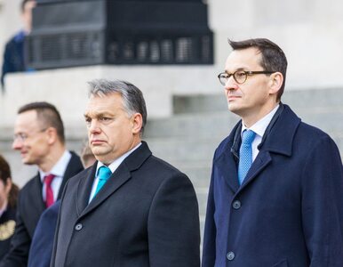 Miniatura: Viktor Orban po wizycie premiera...
