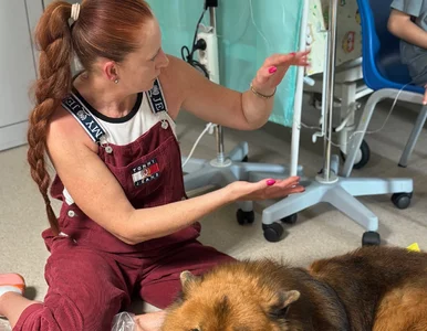 Miniatura: Radość, uśmiech i psia energia na Oddziale...