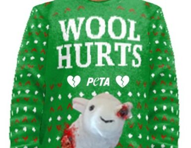 Miniatura: PETA promuje sweter z zakrwawioną owcą....