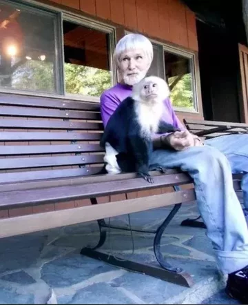 Zwierzę i jego właściciel 