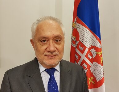 Miniatura: Serbia odwołała ambasadora w Polsce....