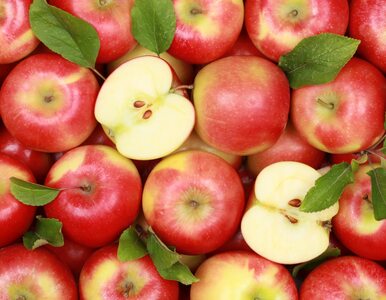 Miniatura: Szwedzkie sklepy wycofują polskie jabłka....