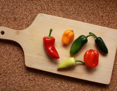 Miniatura: Kucharz z dyplomem uniwersytetu? Tak - w...